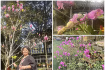 Khu vườn rực sắc hoa trong biệt thự 1.000m2 của NSND Thanh Hoa