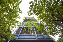 Phủ rèm xanh bên ngoài, nhà Hà Nội đẹp nghiêng ngả trên báo Mỹ