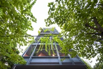 Phủ rèm xanh bên ngoài, nhà Hà Nội đẹp nghiêng ngả trên báo Mỹ