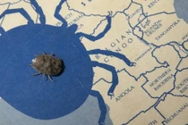 Sinh vật sống không ăn 8 năm, sinh con với bạn tình chết 4 năm trước