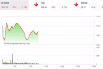 Chứng khoán 30/1: VN-Index lao dốc, "bay đứt" 12 điểm