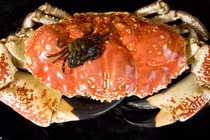 Những món đắt đỏ đại gia Việt săn lùng ăn Tết 2018