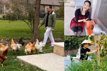 Bên trong biệt thự trồng rau, nuôi gà của sao Việt tại Mỹ