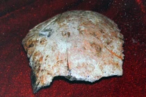 Phát hiện sọ người niên đại 100.000 năm ở Trung Quốc