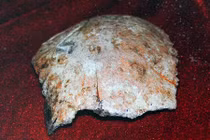 Phát hiện sọ người niên đại 100.000 năm ở Trung Quốc