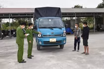 2 người đàn ông dùng xe ôtô trộm cắp trâu chăn thả trên đồng