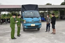 2 người đàn ông dùng xe ôtô trộm cắp trâu chăn thả trên đồng