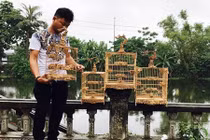 Lồng chim có giá tới tỷ đồng khiến dân chơi xứ Huế ngả mũ 