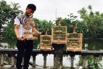 Lồng chim có giá tới tỷ đồng khiến dân chơi xứ Huế ngả mũ 