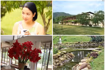 Ngắm biệt thự nhà vườn 10.000m2 của diva Mỹ Linh