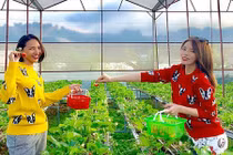 Giữa tin đồn yêu đồng giới, Hoa hậu Kỳ Duyên than vãn về cuộc sống