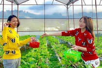 Giữa tin đồn yêu đồng giới, Hoa hậu Kỳ Duyên than vãn về cuộc sống