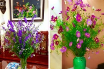 Chọn hoa đẹp nào trang trí phòng khách ngày Tết? 