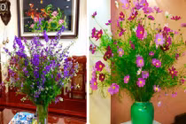 Chọn hoa đẹp nào trang trí phòng khách ngày Tết? 