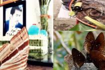 2 dấu hiệu trên bàn thờ chứng tỏ gia chủ được ăn lộc tổ tiên tiêu không hết của