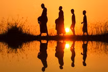 7 điều giúp bạn sống khỏe hơn uống nghìn thang thuốc bổ