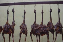 Sự tàn nhẫn đằng sau món gà hong gió đại gia đua nhau ăn