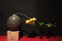 Chán ngâm rượu, chị em lùng mua cành táo mèo về cắm bình