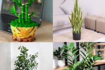 Tuyệt chiêu trang trí nhà ở giá rẻ nhưng đẹp nức lòng