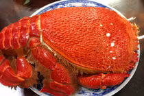 Cua Việt giá chục triệu 1 con, dân thi nhau mua có gì độc?