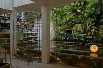 Cách trồng cây trên tường siêu đẹp dành cho nhà chật chội 