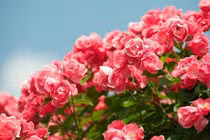 Tháng 4 đến mang niềm vui, 3 con giáp được quý nhân giúp đỡ 