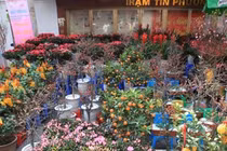 Chợ Tết lâu đời nhất Hà Nội bán những gì?