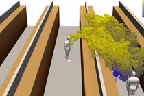 Video: Hoá ra cơn ho phát tán virus xa hơn bạn nghĩ