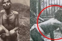 “Cậu bé rừng xanh” ngoài đời thực và cái kết bi thảm