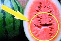 Ăn dưa hấu gặp dấu hiệu này phải bỏ ngay kẻo rước bệnh vào người