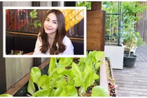 Ngắm vườn rau xanh mướt trong biệt thự triệu đô của Tăng Thanh Hà