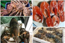 Những loại hải sản “nhà giàu” rớt giá năm 2020