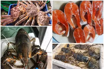 Những loại hải sản “nhà giàu” rớt giá năm 2020