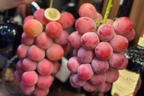 Cách nhận biết nho Trung Quốc gắn mác nho Nhật Bản 