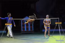 Video: “Trốn” lên bàn nhậu, “tiểu hổ” lên sân khấu biểu diễn xiếc