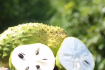 Những người này tuyệt đối không nên ăn mãng cầu 