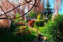 Vườn hoa đẹp như cổ tích của phụ nữ Việt ở Praha 