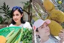 Khám phá biệt thự vườn vô số cây ăn trái của Việt Trinh