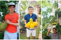 Ngắm vườn cây trĩu quả trong nhà phố của sao Việt