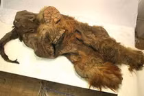 10 công việc đáng sợ nhất nước Mỹ "kiếm tiền" thế nào?