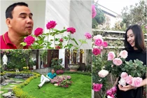 Mãn nhãn biệt thự phủ kín hoa hồng đẹp như cổ tích của sao Việt