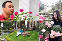 Mãn nhãn biệt thự phủ kín hoa hồng đẹp như cổ tích của sao Việt