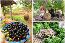 Trang trại rộng thênh thang của Lê Phương ở Tây Ninh có gì?