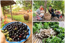 Trang trại rộng thênh thang của Lê Phương ở Tây Ninh có gì?