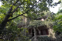 Khó tin những ngôi nhà "dị" nhất Hà Nội