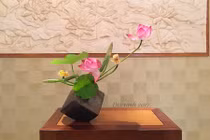 Xem “soái ca” Việt cắm sen trang trí nhà siêu đẹp