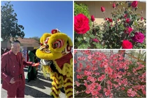 Tỷ phú gốc Việt say đắm Ngọc Trinh một thời giờ ra sao?