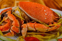 Trước giảm giá "sốc", cua huỳnh đế vừa đắt vừa hiếm có tiền chưa chắc được ăn