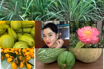 Vườn cây trái sai lúc lỉu trong biệt thự của Hoa hậu Nguyễn Thị Huyền