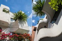 Mãn nhãn nhà ống sở hữu đường cong mềm mại giữa lòng Sài Gòn